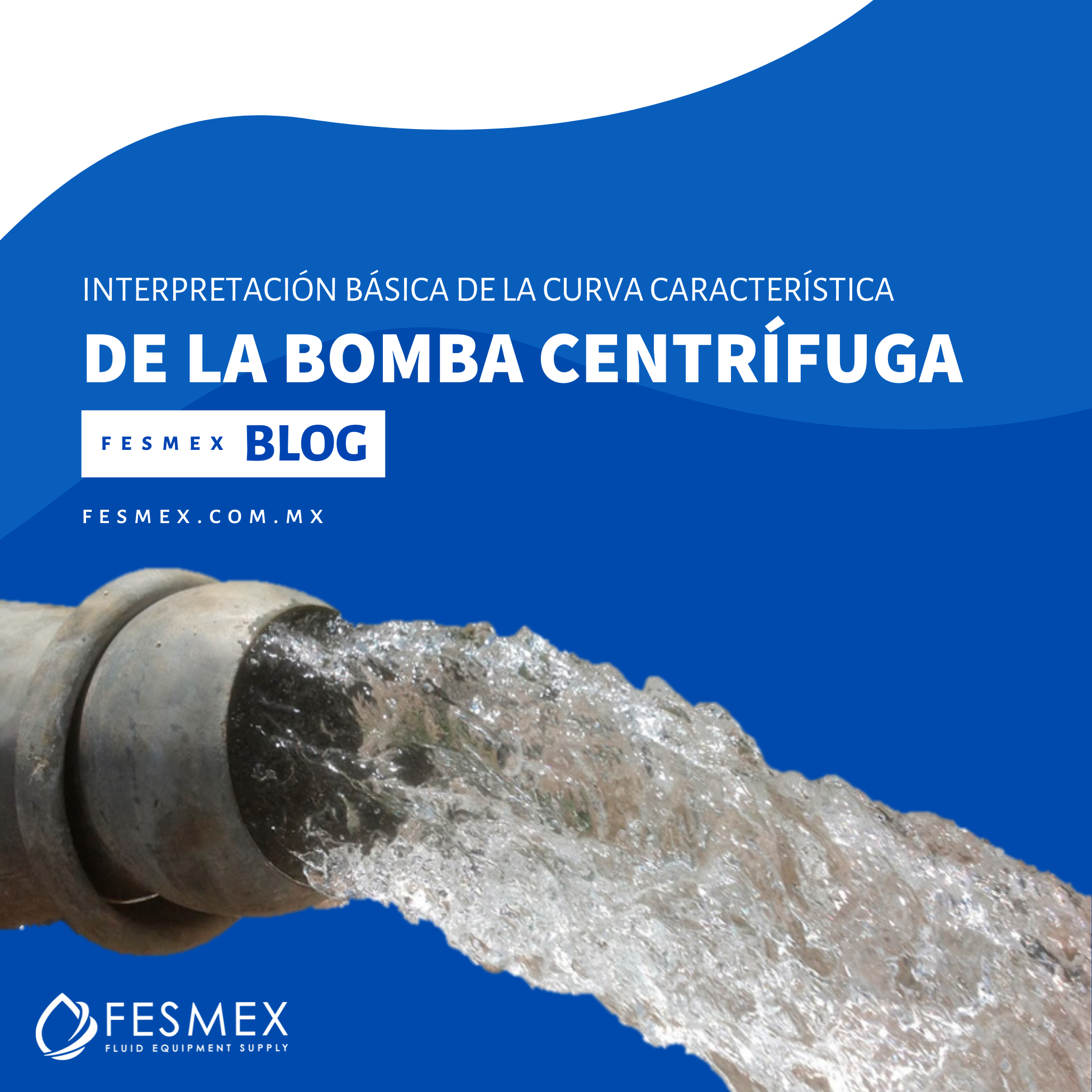 Interpretación básica de La Curva Característica de Bomba Centrifuga.